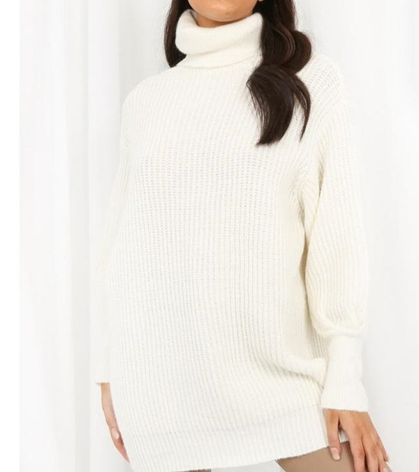 OVERSIZED ROLL NECK Jumper